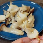 Iced Soy Milk Udon Noodles — 冰豆乳烏龍麵